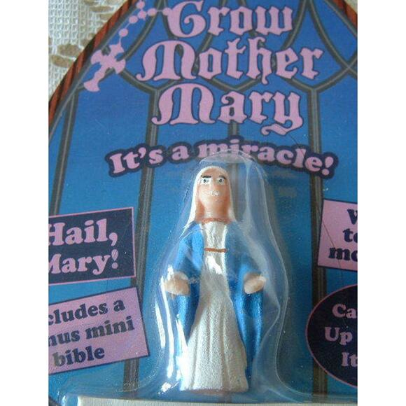 New Historical Biblical Christian Christianity Grow Your Own Mother Mary & Bible - Picture 2 of 2